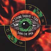 various - Third eye open: the string tribute to Tool